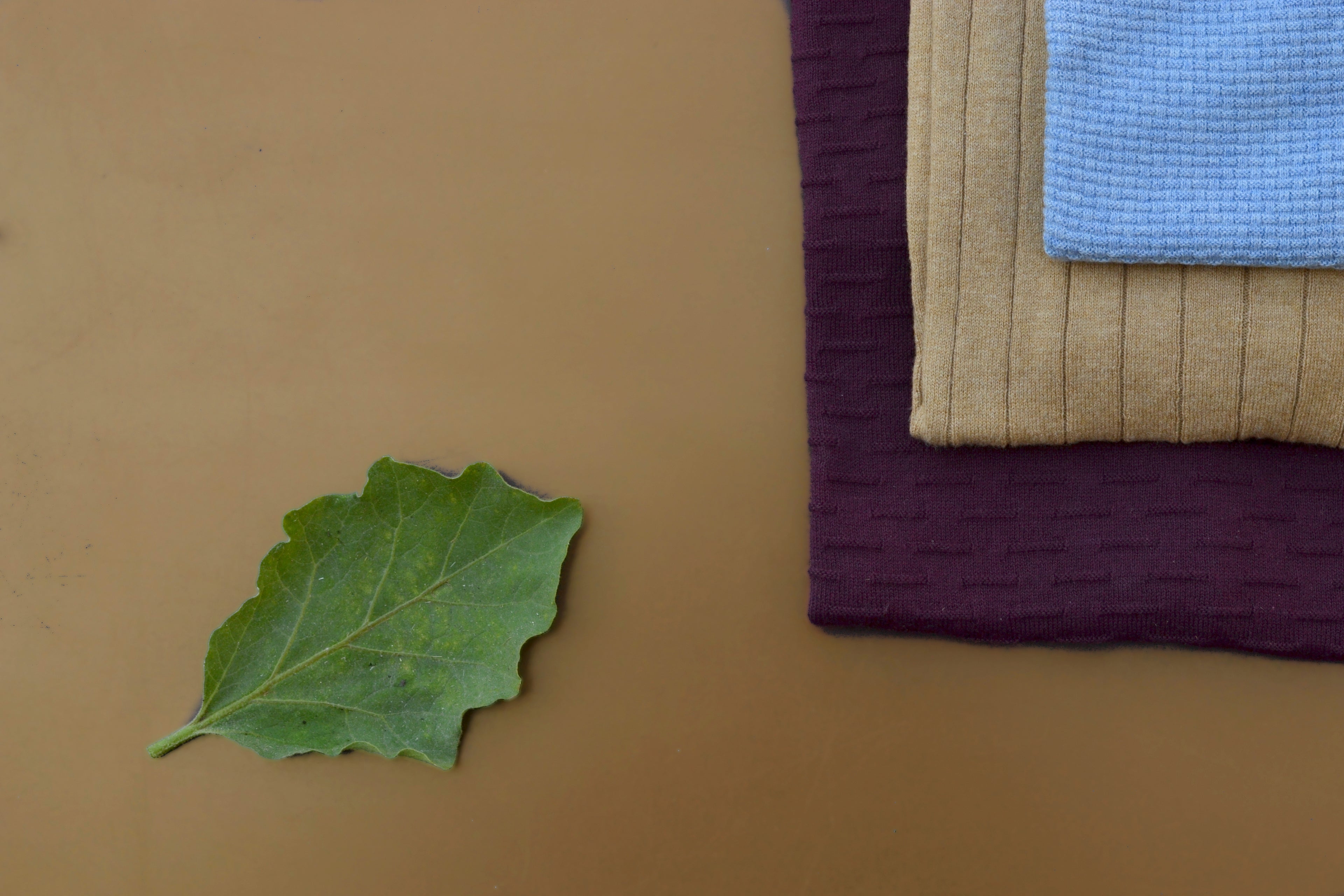 old money polos banner